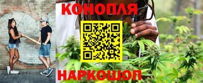 гашик Новокубанск