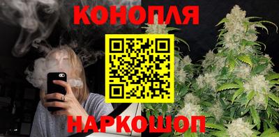 гашик Новокубанск
