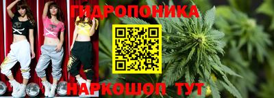 гашик Новокубанск