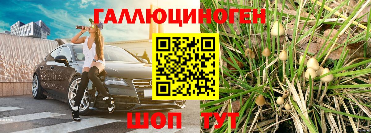 Черняховск  Галлюциногенные грибы мицелий  Вход с VPN 