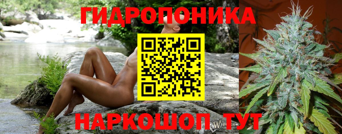 Марихуана MAZAR  Шишки марихуана гибрид  Конопля индика  Черняховск  Бошки Шишки марихуана 